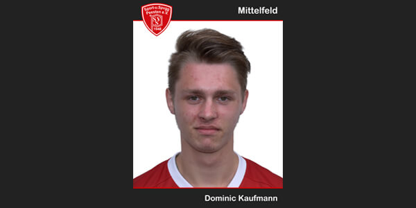 Dominic-Kaufmann_slide.jpg 